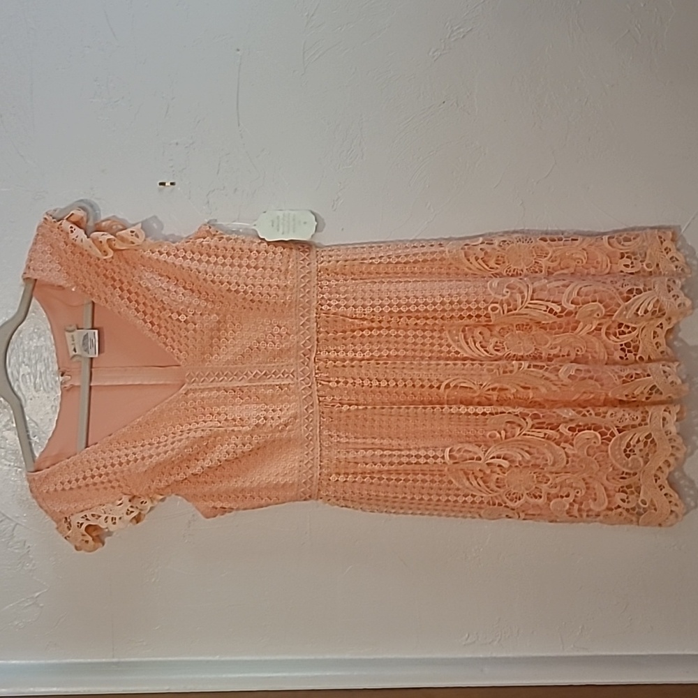 Altard State peach midi lace dress